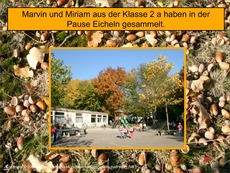 Präsentation-Sachaufgabe-Herbst-14.pdf